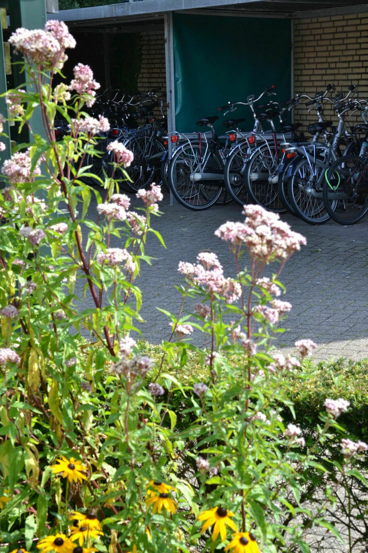 Fletcher Hotel Restaurant Carlton Naaldwijk Exteriör bild